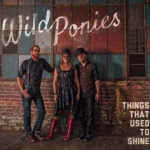 Wild Ponies - Things That Used To Shine i gruppen CD / Pop hos Bengans Skivbutik AB (1023740)