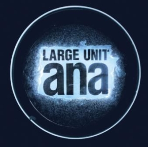 Large Unit - Ana i gruppen CD / Jazz/Blues hos Bengans Skivbutik AB (1908179)