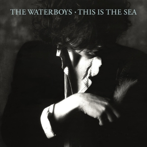 The Waterboys - This Is The Sea i gruppen CD / Pop-Rock hos Bengans Skivbutik AB (2527346)