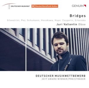 Various - Bridges i gruppen Externt_Lager / Naxoslager hos Bengans Skivbutik AB (3460840)