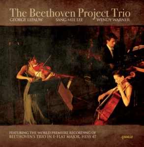 Beethoven Ludwig Van - The Beethoven Project Trio i gruppen Externt_Lager / Naxoslager hos Bengans Skivbutik AB (3734724)
