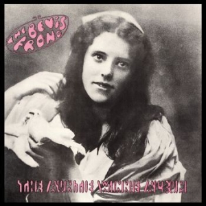 Bevis Frond - Auntie Winnie Album i gruppen CD / Rock hos Bengans Skivbutik AB (3842264)