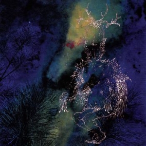 Bardo Pond - Under The Pines i gruppen CD / Rock hos Bengans Skivbutik AB (3842298)