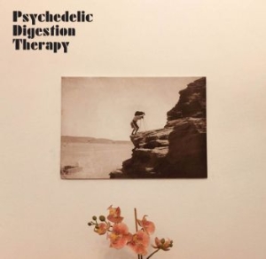 Psychedelic Digestion Therapy - Psychedelic Digestion Therapy i gruppen VINYL / Rock hos Bengans Skivbutik AB (4014092)