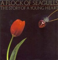 Flock Of Seagulls A - Story Of A Young Heart i gruppen CD / Pop-Rock hos Bengans Skivbutik AB (538448)