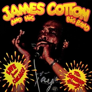 James Cotton & His Big Band - Live In Chicago - Mr. Superharp i gruppen VINYL / Pop-Rock hos Bengans Skivbutik AB (5508820)