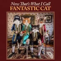 Fantastic Cat - Now That's What I Call Fantastic Ca i gruppen VINYL / Kommande / Pop-Rock hos Bengans Skivbutik AB (5524073)