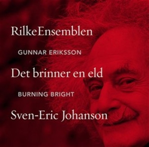 Johanson Sven-Eric - Burning Bright i gruppen Externt_Lager / Naxoslager hos Bengans Skivbutik AB (627437)