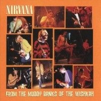 Nirvana - From The Muddy Banks i gruppen CD / Pop-Rock hos Bengans Skivbutik AB (682841)