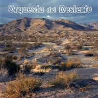 Orquesta Del Desierto - Orquesta Del Desierto (Orange Vinyl